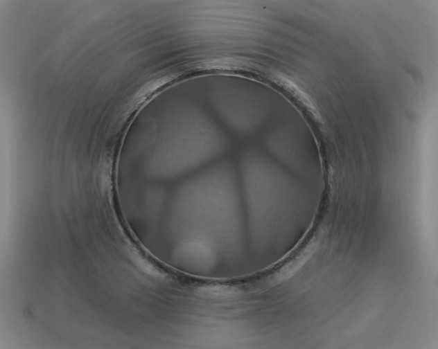 X0000114101033200910191638