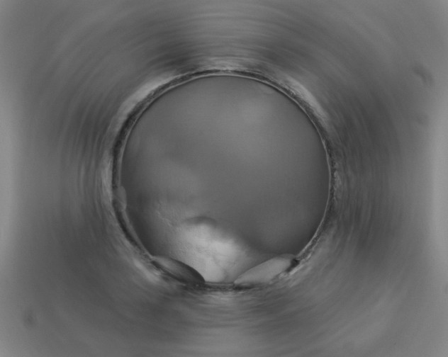 X0000114101035200910191638