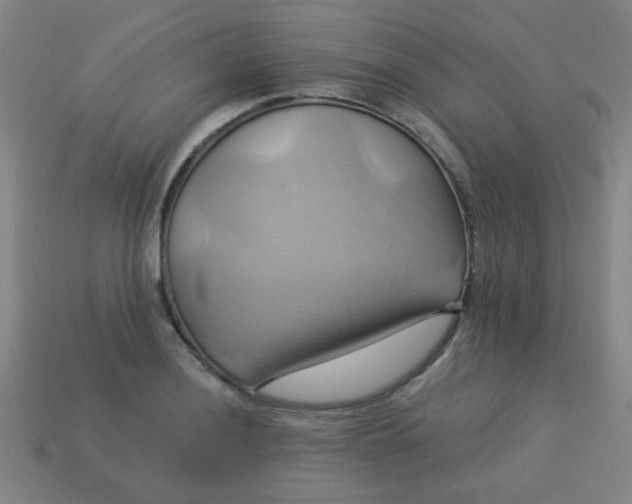 X0000114101036200910191638