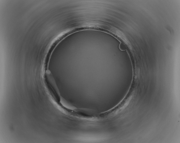 X0000114101037200910191638