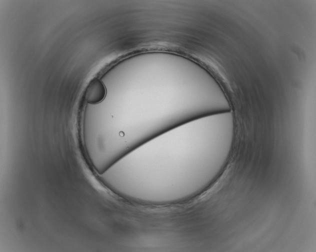 X0000114101038200910191638