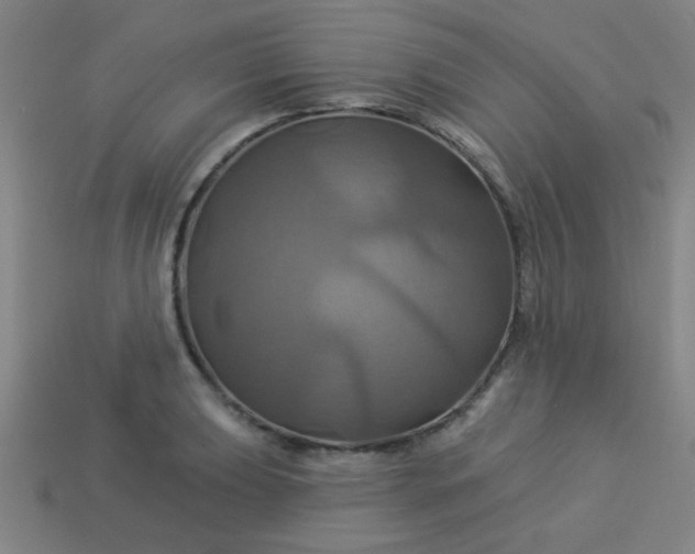 X0000114101039200910191638