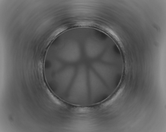 X0000114101041200910191638