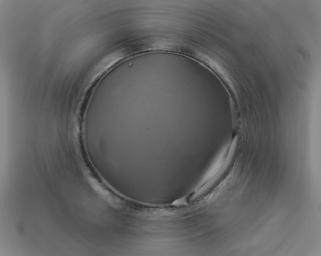 X0000114101042200910191638