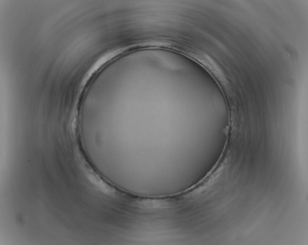 X0000114101044200910191638