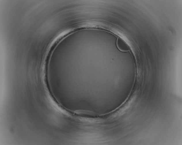 X0000114101045200910191638