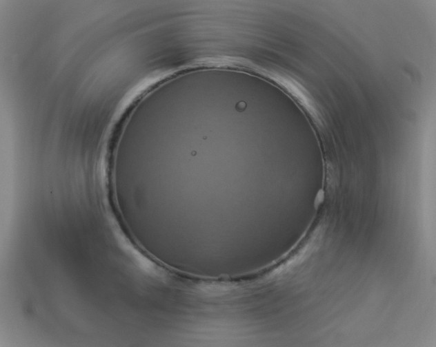 X0000114101046200910191638