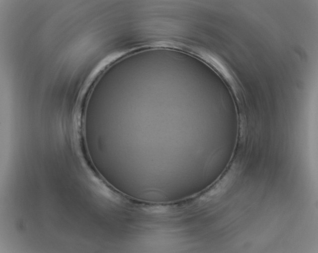 X0000114101048200910191638