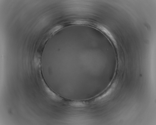 X0000114101049200910191638