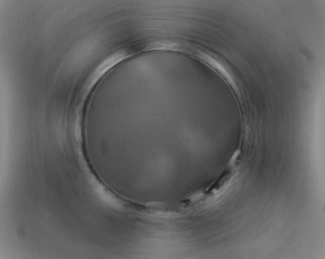 X0000114101050200910191638