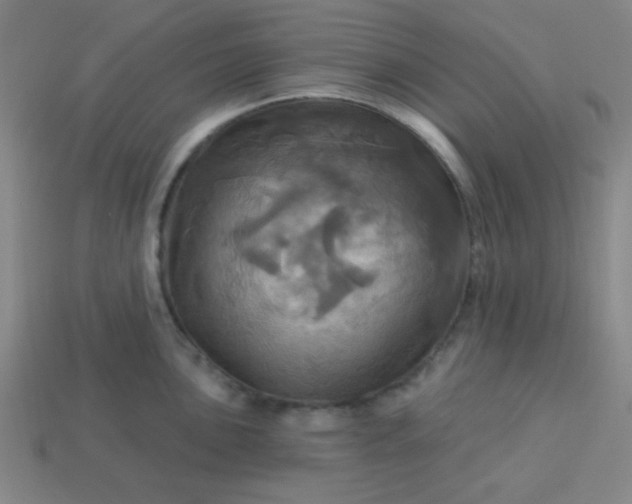 X0000114101051200910191638