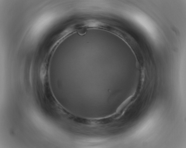 X0000114101052200910191638