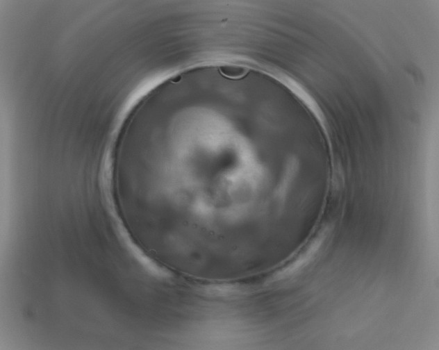 X0000114101053200910191638