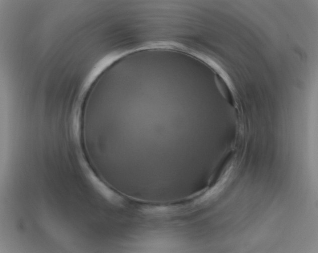 X0000114101054200910191638