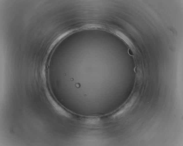 X0000114101055200910191638