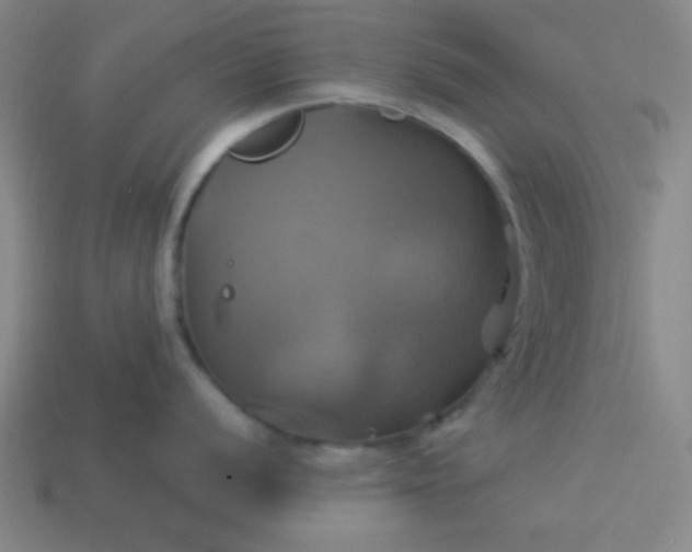 X0000114101056200910191638