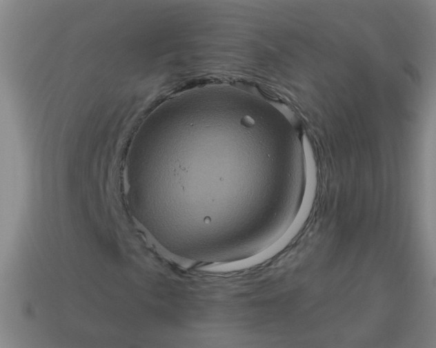 X0000114101057200910191638