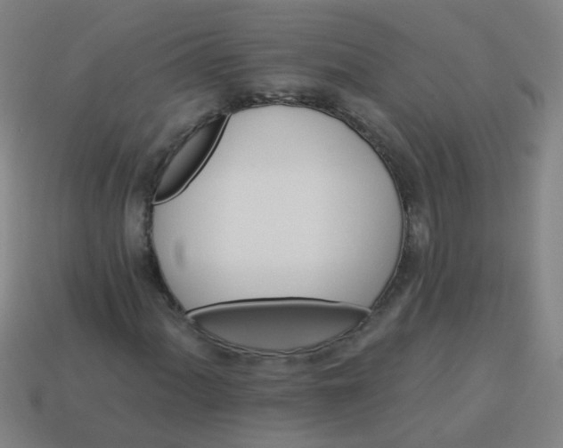 X0000114101060200910191637