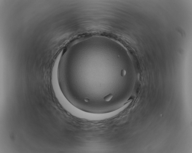 X0000114101061200910191637