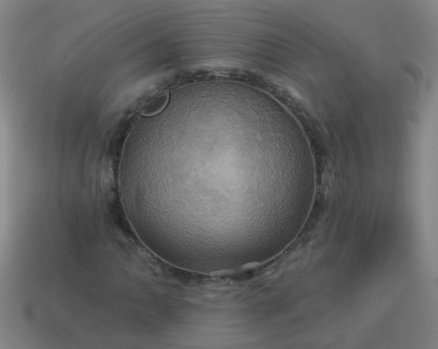 X0000114101062200910191637