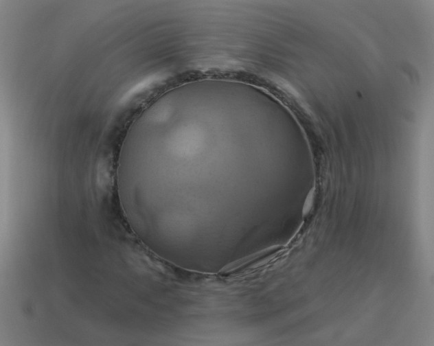 X0000114101063200910191637