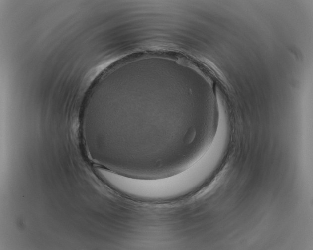 X0000114101065200910191637