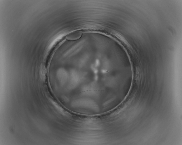 X0000114101067200910191637