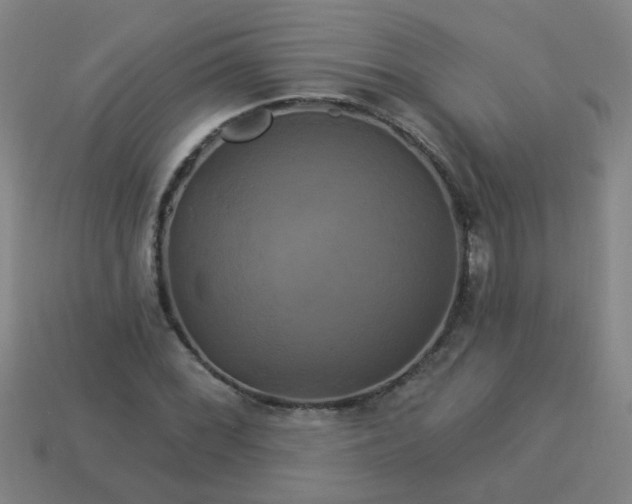 X0000114101068200910191637