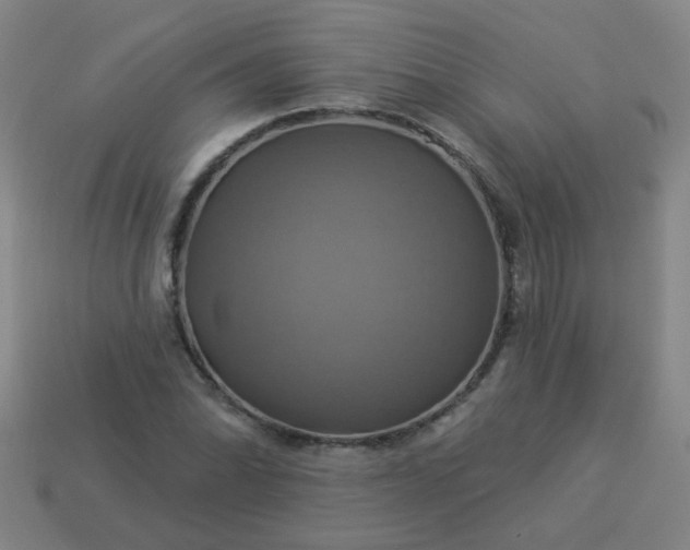 X0000114101070200910191637