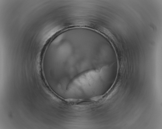 X0000114101071200910191637