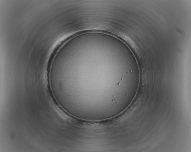 X0000114101072200910191637