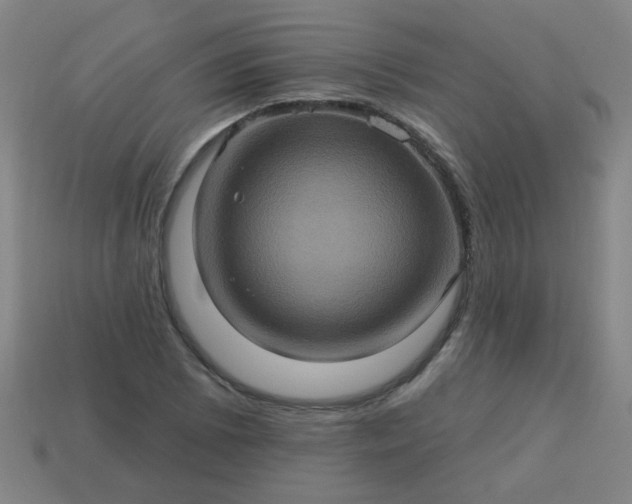 X0000114101073200910191637