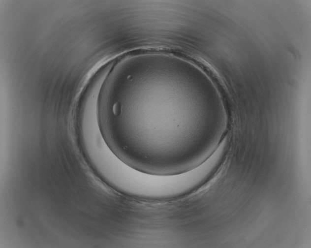 X0000114101075200910191637