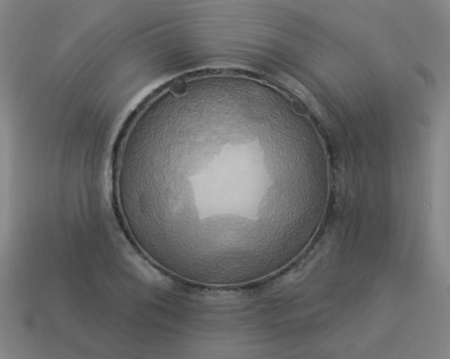 X0000114101076200910191637