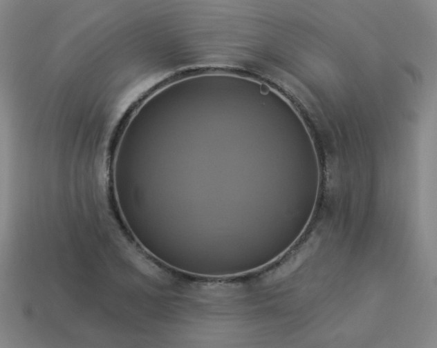 X0000114101077200910191637