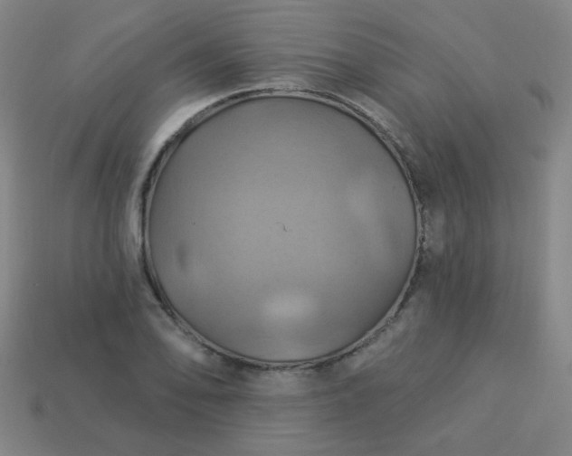 X0000114101078200910191637