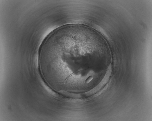 X0000114101079200910191637