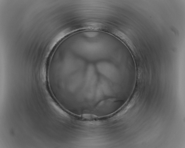 X0000114101083200910191637