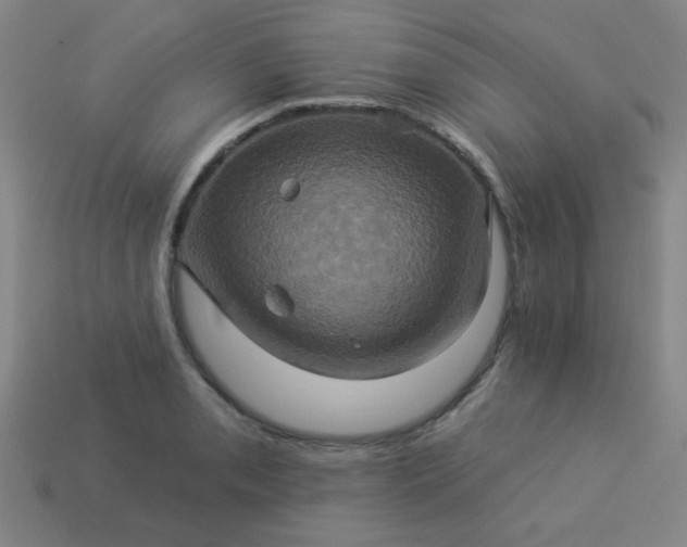 X0000114101085200910191637