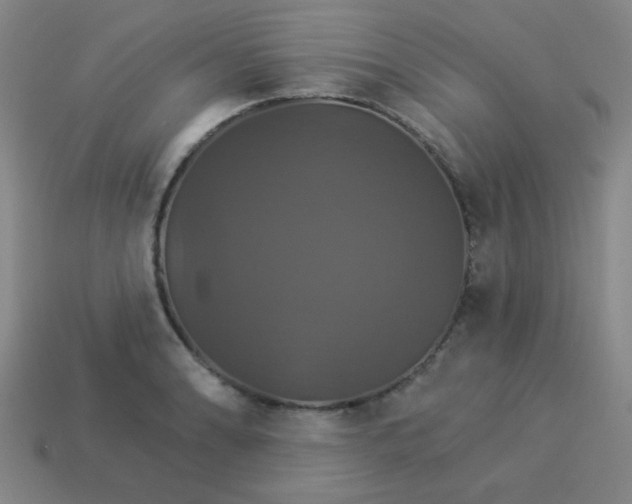 X0000114101086200910191637