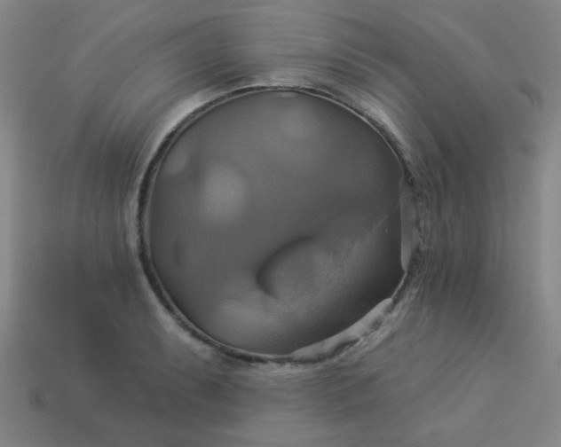 X0000114101087200910191637