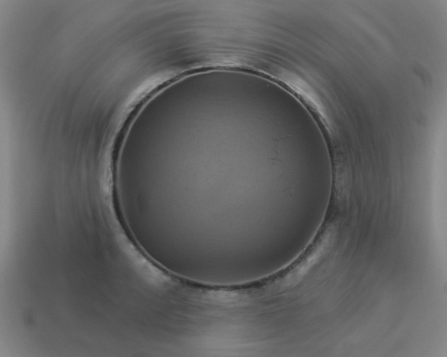 X0000114101088200910191637