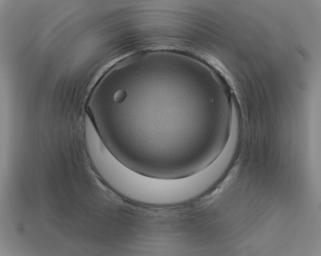 X0000114101089200910191637