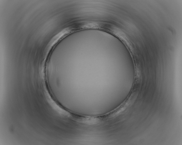 X0000114101090200910191637