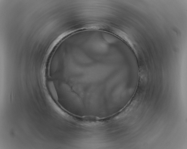 X0000114101091200910191637