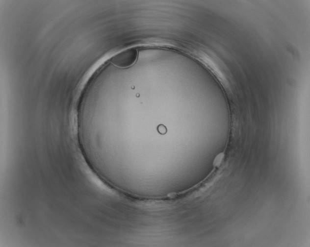 X0000114101092200910191637