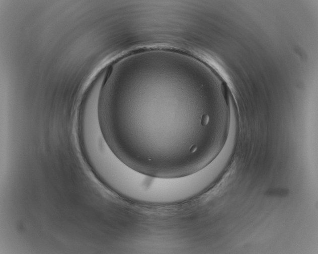 X0000114101093200910191637