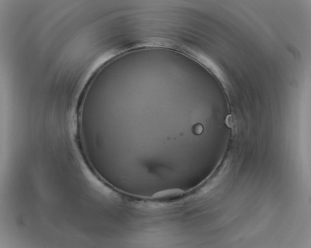 X0000114101095200910191637