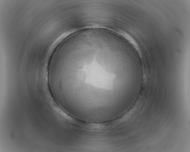 X0000114101096200910191637