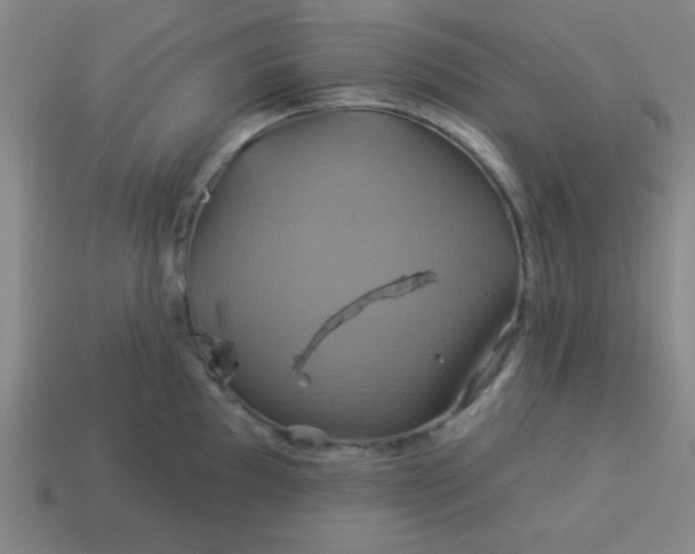 X0000114101097200910191637